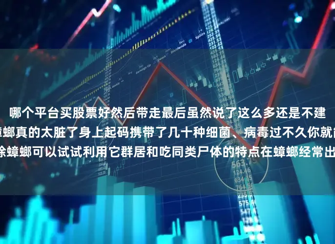 哪个平台买股票好然后带走最后虽然说了这么多还是不建议大家直接用脚踩死蟑螂蟑螂真的太脏了身上起码携带了几十种细菌、病毒过不久你就能收获一窝蟑螂真想除蟑螂可以试试利用它群居和吃同类尸体的特点在蟑螂经常出没的地方放上蟑螂药只要一只吃了就能一窝打尽了！