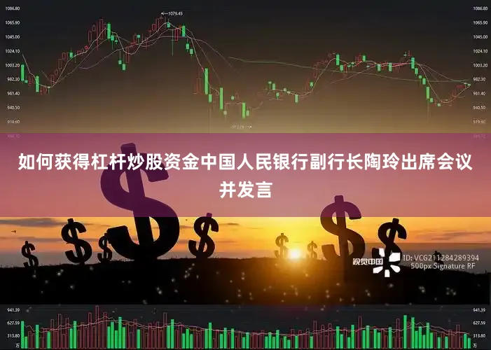 如何获得杠杆炒股资金中国人民银行副行长陶玲出席会议并发言
