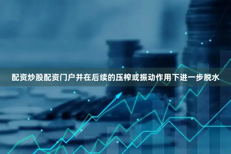 配资炒股配资门户并在后续的压榨或振动作用下进一步脱水